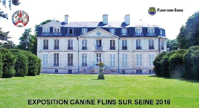 Exposition de FLINS SUR SEINE